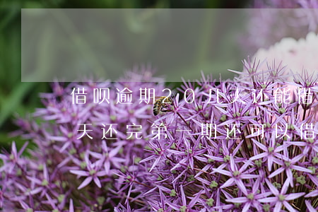 借呗逾期20几天还能借吗(借呗逾期二十多天还完第一期还可以借吗?)