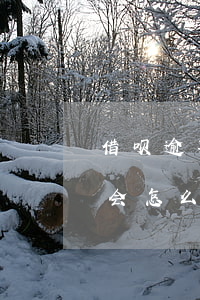 借呗逾期20天有什么影响(借呗逾期20天会怎么样)
