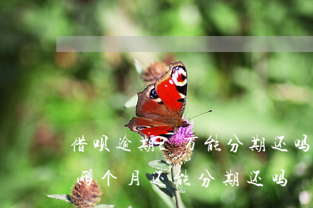 借呗逾期2万能分期还吗(借呗欠两万五逾期两个月还能 分期还吗)