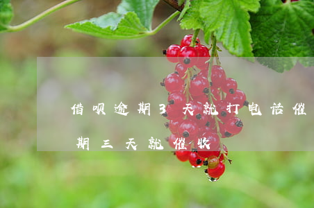 借呗逾期3天就打电话催收真垃圾-借呗逾期三天就催收