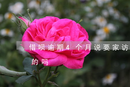借呗逾期4个月说要家访(借呗说要家访是真的吗)