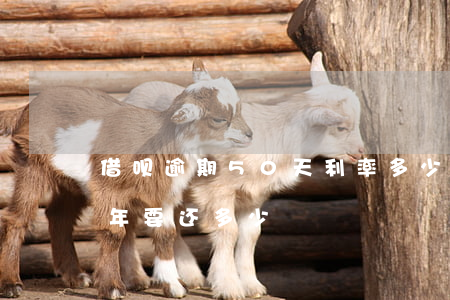 借呗逾期50天利率多少(10万借呗逾期一年要还多少)