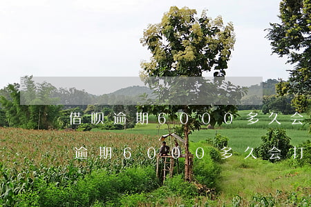 借呗逾期6000多久会打通讯录啊-借呗逾期6000多久会打通讯录啊电话