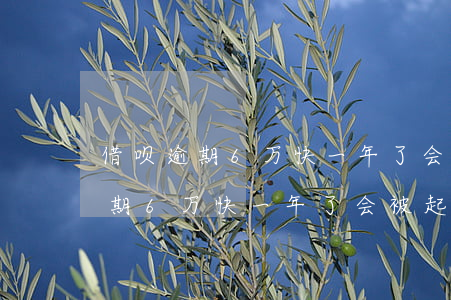 借呗逾期6万快一年了会被起诉吗-借呗逾期6万快一年了会被起诉吗怎么办