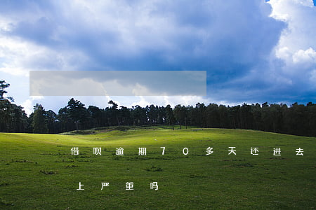借呗逾期70多天还进去(借呗逾期八天了还上严重吗)