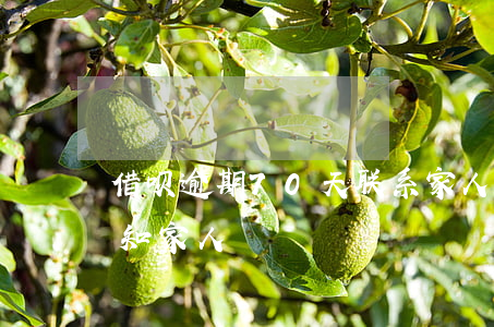 借呗逾期70天联系家人(借呗逾期20天通知家人)