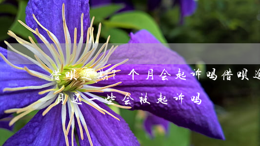 借呗逾期7个月会起诉吗(借呗逾期但是每个月还一些会被起诉吗)