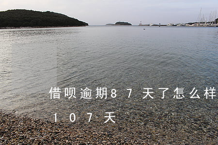 借呗逾期87天了怎么样(借呗2000逾期107天)