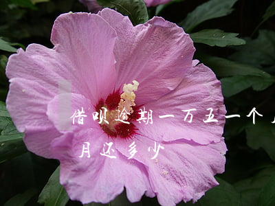 借呗逾期一万五一个月(借呗逾期一万五一个月还多少)
