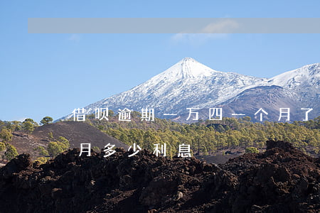 借呗逾期一万四一个月了(借呗1万逾期1个月多少利息)