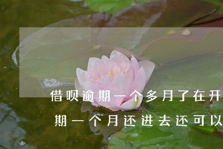 借呗逾期一个多月了在开始慢慢还-借呗逾期一个月还进去还可以再借出来吗