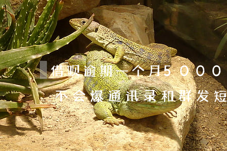 借呗逾期一个月5000(借呗逾期一个月会不会爆通讯录和群发短信)