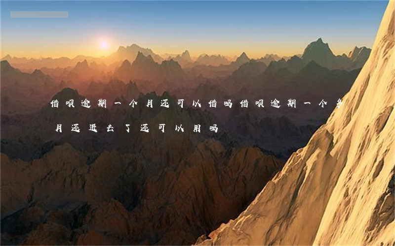 借呗逾期一个月还可以借吗(借呗逾期一个多月还进去了还可以用吗)