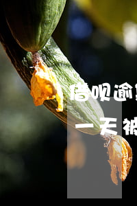 借呗逾期一天借呗被关闭了(支付宝借呗逾期一天被关闭后怎么恢复)