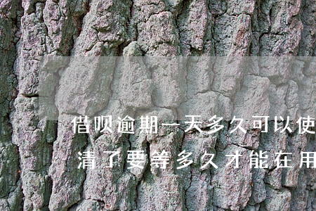 借呗逾期一天多久可以使用(借呗逾期一天还清了要等多久才能在用)