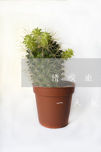 借呗逾期一天就上征信能消除吗-借呗逾期一天就上征信能消除吗知乎