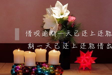 借呗逾期一天已还上还能借出来吗-借呗逾期一天已还上还能借出来吗