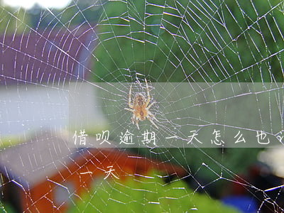 借呗逾期一天怎么也记录了(借呗不小心逾期一天)