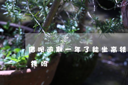 借呗逾期一年了能坐高铁吗(借呗没还能做高铁吗)