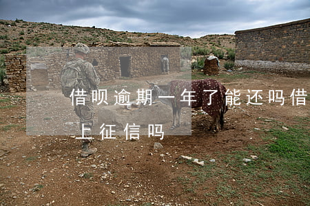 借呗逾期一年了能还吗(借呗逾期一年多了会上征信吗)