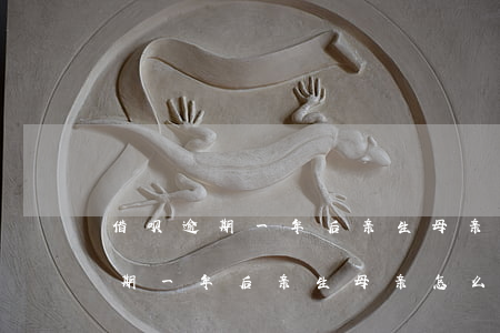 借呗逾期一年后亲生母亲怎么处理-借呗逾期一年后亲生母亲怎么处理的