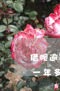 借呗逾期一年多少利息是多少钱-借呗逾期一年多少利息是多少钱啊