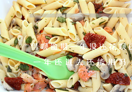 借呗逾期一年没还花呗还能用吗-借呗逾期一年还进去还能用吗