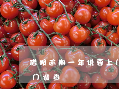 借呗逾期一年说要上门走访(借呗逾期说要上门调查)