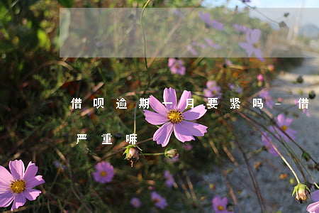 借呗逾期一月要紧吗-借呗逾期一个月后果严重嘛