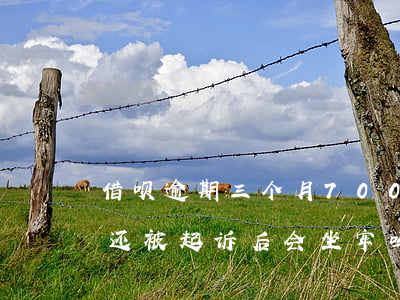 借呗逾期三个月7000(借呗逾期三个月没还,被起诉后会坐牢吗)