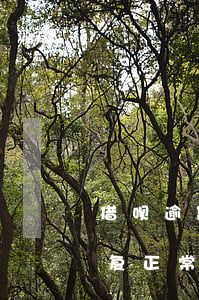 借呗逾期三个月多久恢复(借呗逾期多久能恢复正常)
