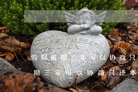 借呗逾期三年可以协商只还本金吗-借呗逾期三年可以协商只还本金吗