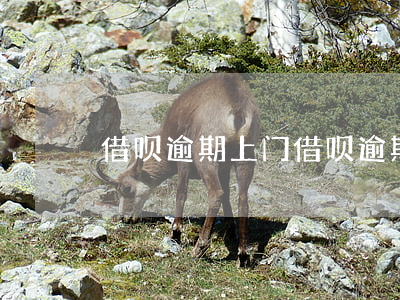 借呗逾期 上门(借呗逾期 上门通知)