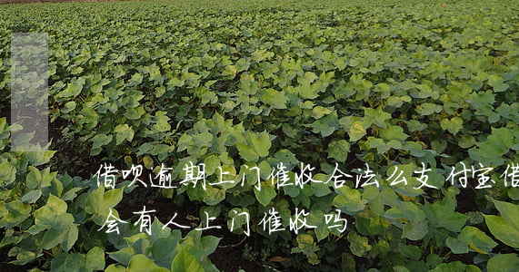 借呗逾期上门催收合法么(支付宝借呗逾期了会有人上门催收吗?)