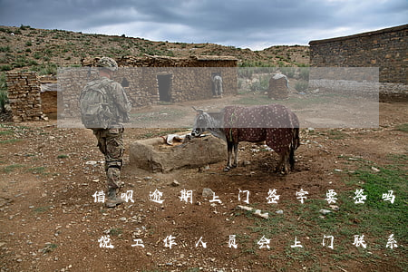 借呗逾期上门签字要签吗(借呗逾期五个月了说工作人员会上门联系怎么办呢?)