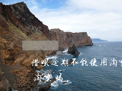 借呗逾期不能使用淘宝吗(借呗逾期不能使用淘宝吗)