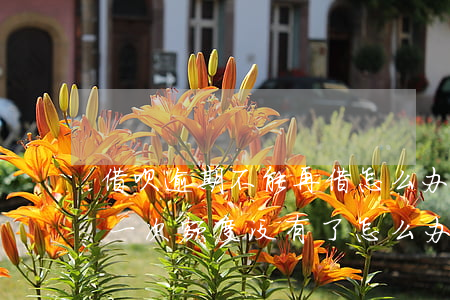 借呗逾期不能再借怎么办(借呗不小心逾期了一次,额度没有了怎么办)