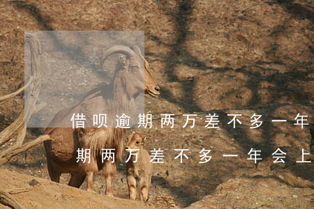 借呗逾期两万差不多一年会上门吗-借呗逾期两万差不多一年会上门吗怎么办