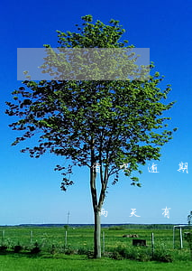 借呗逾期两三天有没有事(支付宝借呗逾期一两天有没有事?)