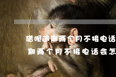 借呗逾期两个月不接电话会怎么样-借呗逾期两个月不接电话会怎么样吗