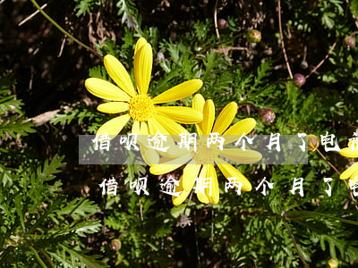 借呗逾期两个月了电话催收会寄律师函吗?-借呗逾期两个月了电话催收会寄律师函吗