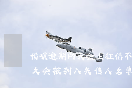 借呗逾期两天会上征信不良记录吗-逾期多久会被列入失信人名单