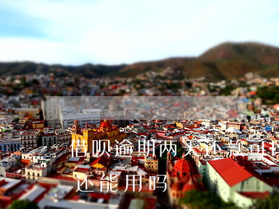 借呗逾期两天还款可以不(借呗逾期2天还了还能用吗)