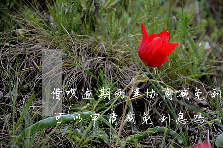 借呗逾期两年协商减免利息(借呗逾期一年多可以申请减免利息吗)