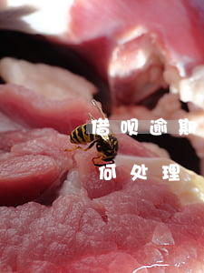 借呗逾期两年怎么办（支付宝借呗逾期2年如何处理）