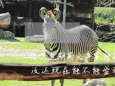 借呗逾期买火车票能买吗(借呗逾期几个月了没还,现在能不能坐动车)