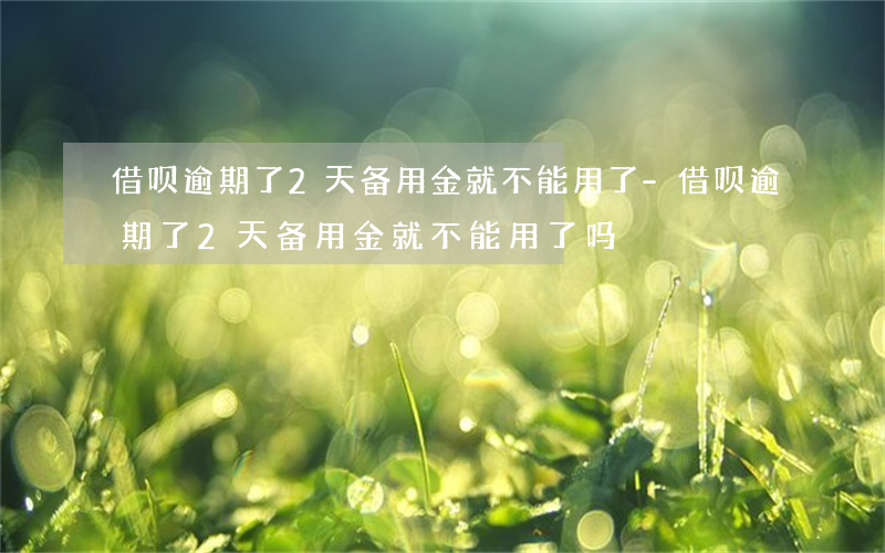 借呗逾期了2天备用金就不能用了-借呗逾期了2天备用金就不能用了吗