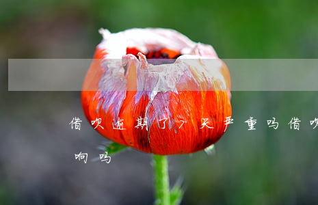 借呗逾期了7天严重吗 借呗逾期7天有啥影响吗