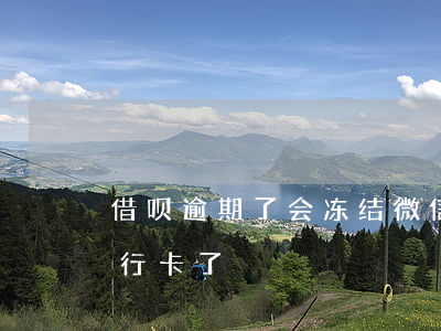 借呗逾期了会冻结微信吗(借呗逾期后冻结银行卡了)
