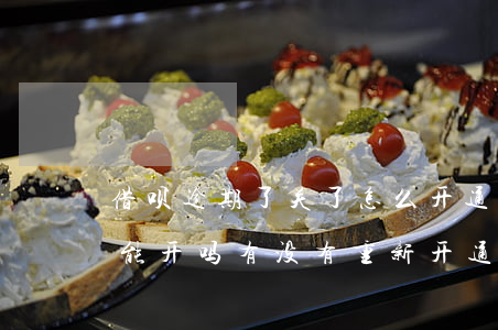 借呗逾期了关了怎么开通(借呗逾期被关了还能开吗?有没有重新开通的)